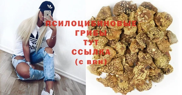 каннабис Беломорск