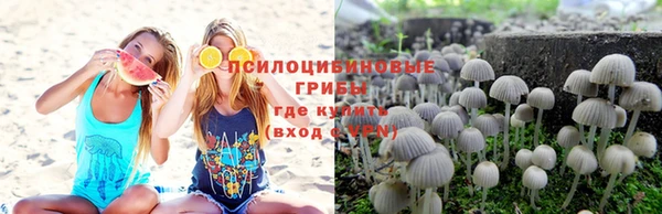 ГАЛЛЮЦИНОГЕННЫЕ ГРИБЫ Белокуриха