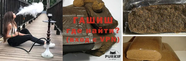 ГАЛЛЮЦИНОГЕННЫЕ ГРИБЫ Белокуриха