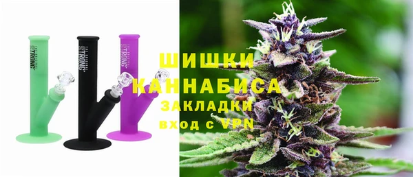 ГАЛЛЮЦИНОГЕННЫЕ ГРИБЫ Белокуриха